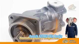 Oem Kwaliteit A2FM63 Rexroth Serie 6 Axiale Zuiger Vaste Motor Fabrieksprijs Verzending Snelle Showcase