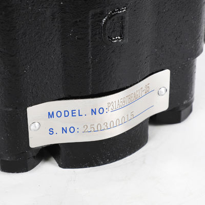 In voorraad Parker gietijzer pomp P31 serie P31a597beag17-25 Hydraulische pomp en onderdelen voor bouwmachines