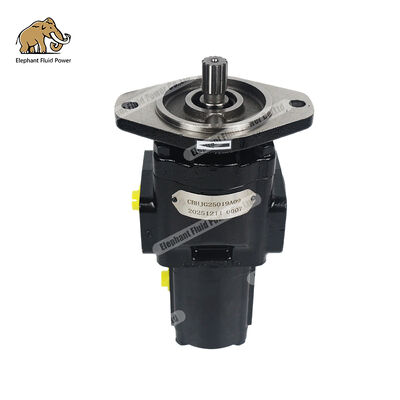 CBHJG25019A09 hogedruk hydraulische tandwielpomp